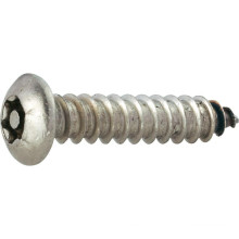 Security Self tapping Screw